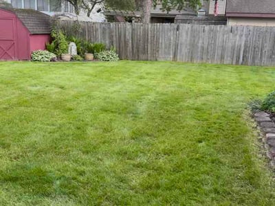Lawn Care service in Menasha, 54952