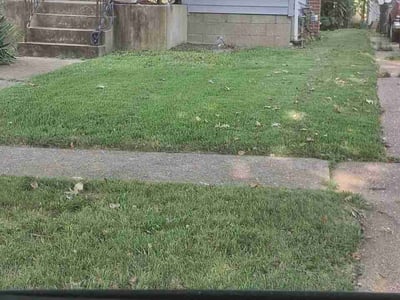 Lawn Care service in Saint Peters, 63376