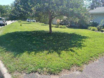 Lawn Care service in Anoka, 55303