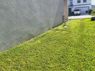 Lawn Care service in Tarpon Springs, 34689