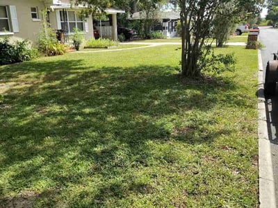 Lawn Care service in Lake Wales, 33853