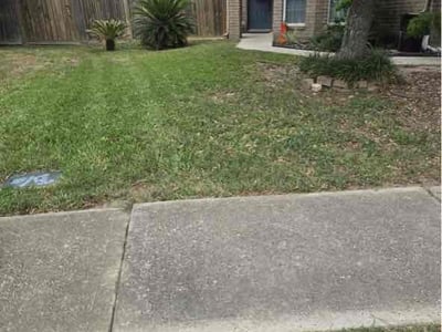 Lawn Care service in Spring, 77373
