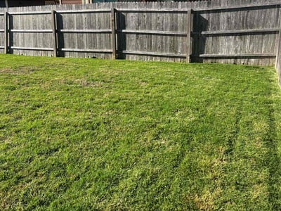 Lawn Care service in Converse, 78109