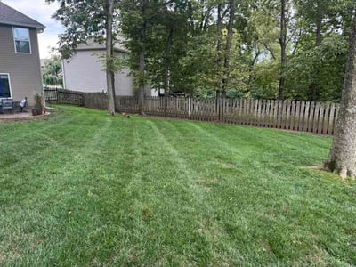 Lawn Care service in Raymore, 64083