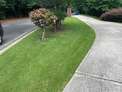 Lawn Care service in Homewood, 35209