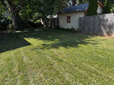 Lawn Care service in Lebanon, 46052