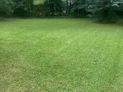 Lawn Care service in Homewood, 35209