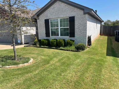 Lawn Care service in Avondale, 85323