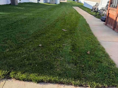Lawn Care service in Comstock Park, 49321