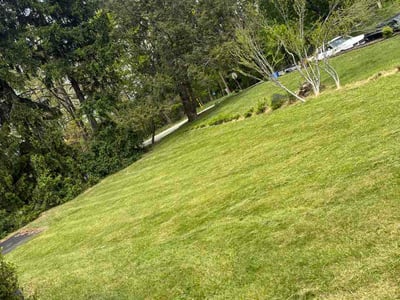 Lawn Care service in Murrysville, 15668