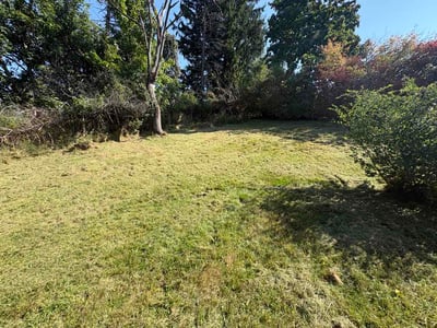 Lawn Care service in Murrysville, 15668