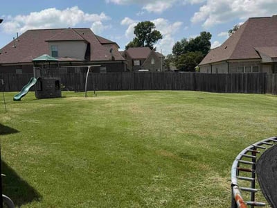 Lawn Care service in Hernando, 38632