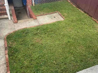 Lawn Care service in Washington, 20036