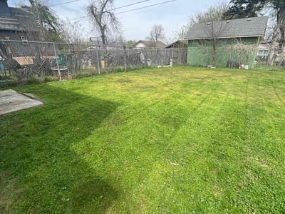Lawn Care service in Vernon Rockville, 06066