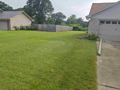Lawn Care service in Gardendale, 35071