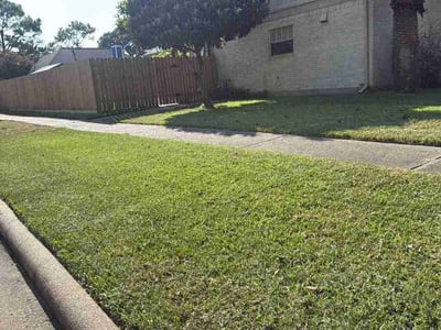 Lawn Care service in League City, 77573