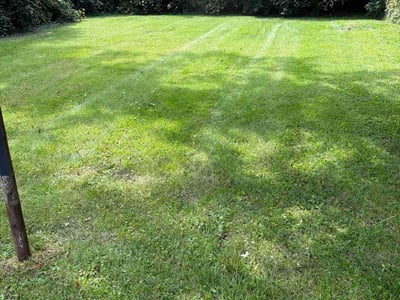 Lawn Care service in Logan, 43138