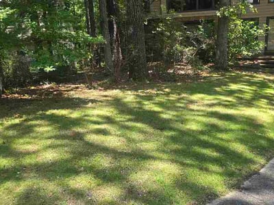 Lawn Care service in Birmingham, 35203