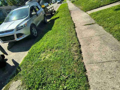 Lawn Care service in Wheeling, 26003
