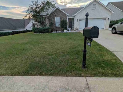 Lawn Care service in Chelsea, 35043