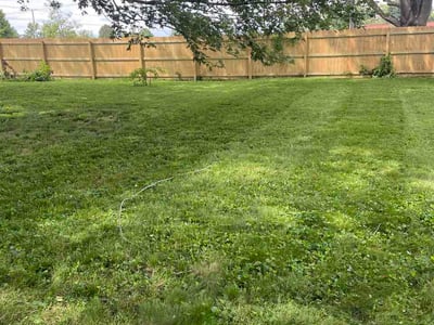 Lawn Care service in Westfield, 46074