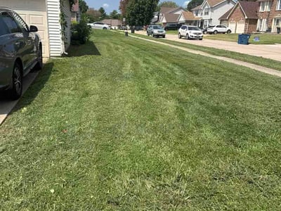 Lawn Care service in Union, 63084