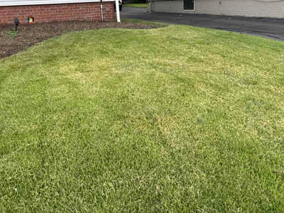 Lawn Care service in Branford, 06405