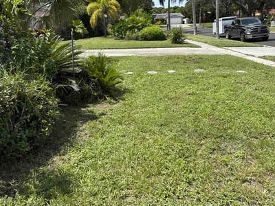 Lawn Care service in Dunedin, 34698