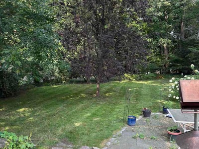 Lawn Care service in Wallingford, 06492
