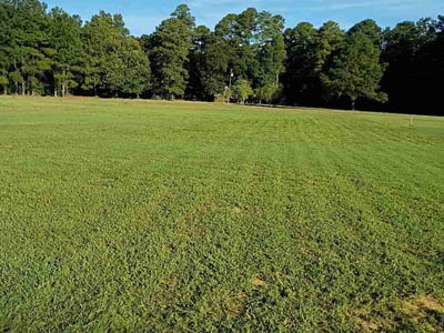 Lawn Care service in Supply, 28462