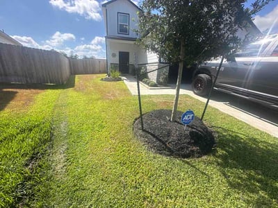 Lawn Care service in La Porte, 77571