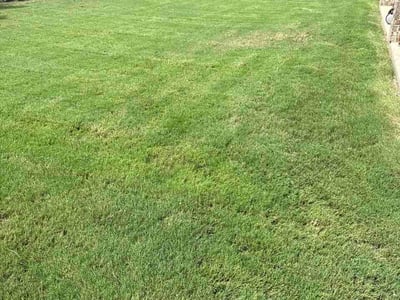 Lawn Care service in Deer Park, 77536