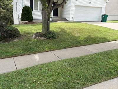 Lawn Care service in Platte City, 64079