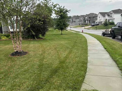Lawn Care service in Platte City, 64079