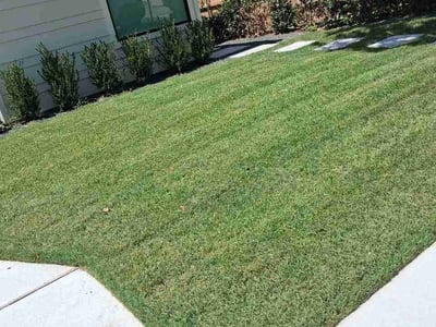 Lawn Care service in Laredo, 78040