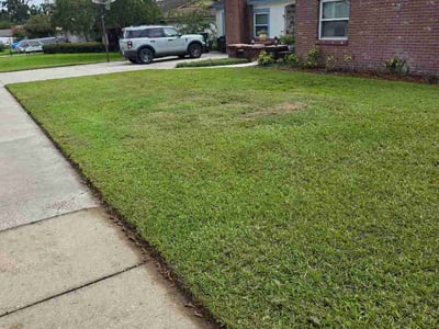 Lawn Care service in Dade City, 33525