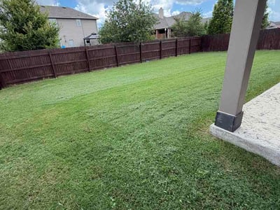 Lawn Care service in Laredo, 78040