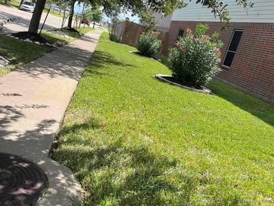 Lawn Care service in Bristol, 06010