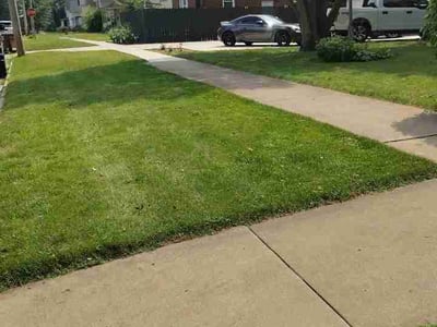 Lawn Care service in Normal, 61761