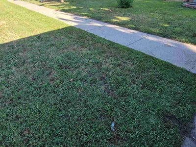 Lawn Care service in Hudson, 54016