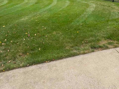 Lawn Care service in Jackson, 49201