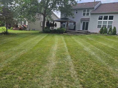 Lawn Care service in Wyandotte, 48192
