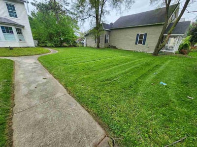 Lawn Care service in Eau Claire, 54701