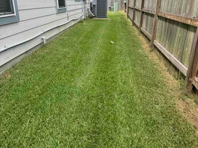Lawn Care service in Rosenberg, 77471