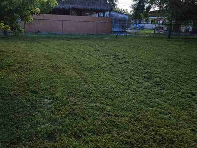 Lawn Care service in Homestead, 33030