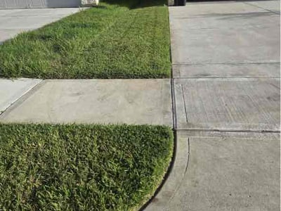 Lawn Care service in Alvin, 77511
