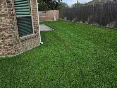 Lawn Care service in Alvin, 77511