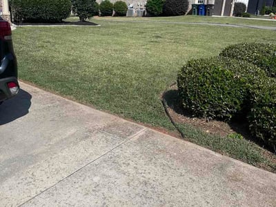 Lawn Care service in Thomasville, 27360