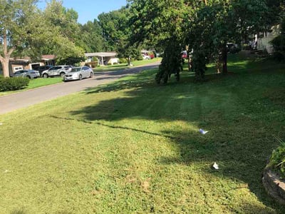 Lawn Care service in Overland, 63114