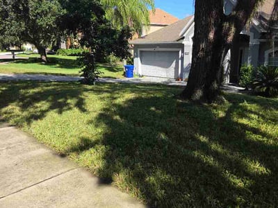 Lawn Care service in Ocoee, 34761